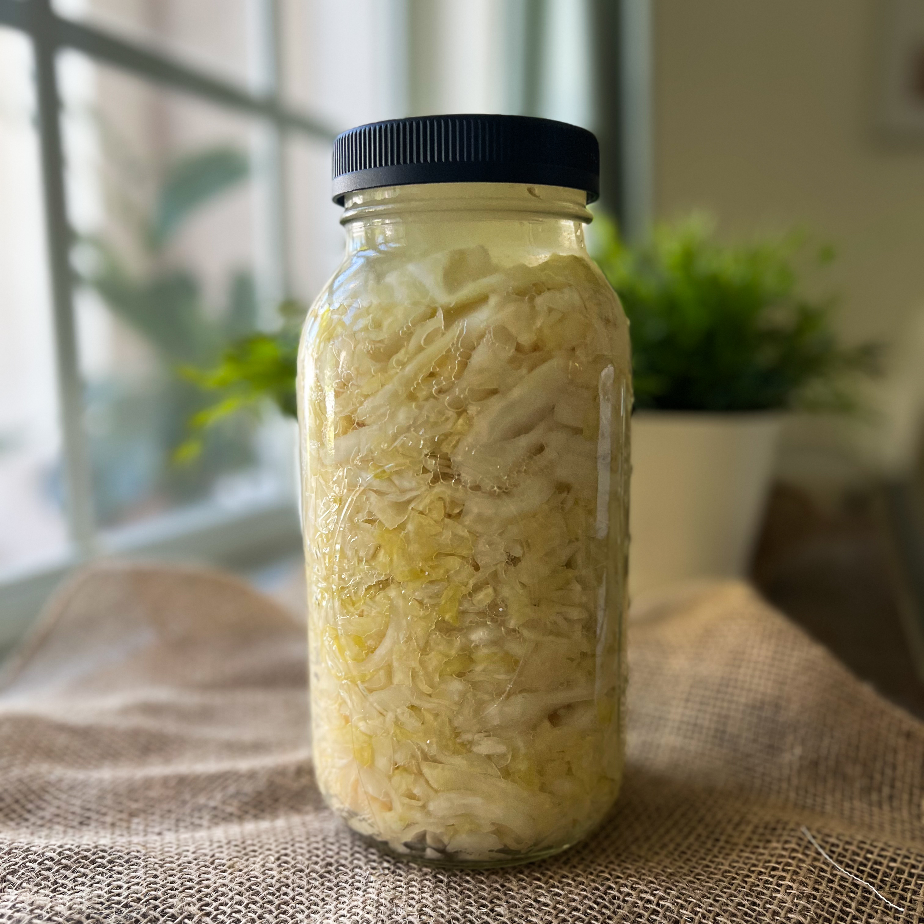 Homemade Sauerkraut recipe