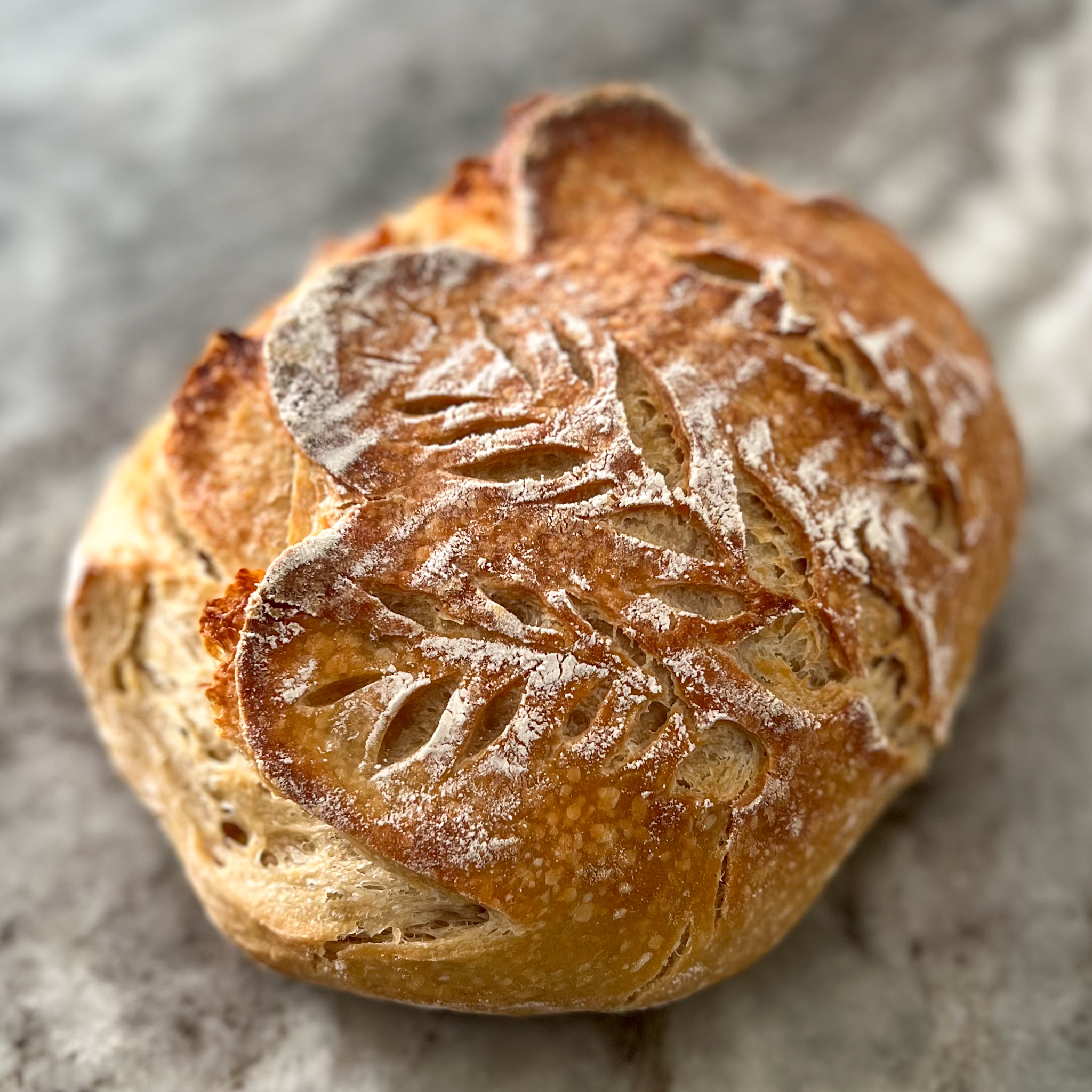 Sourdough Artisan Loaf